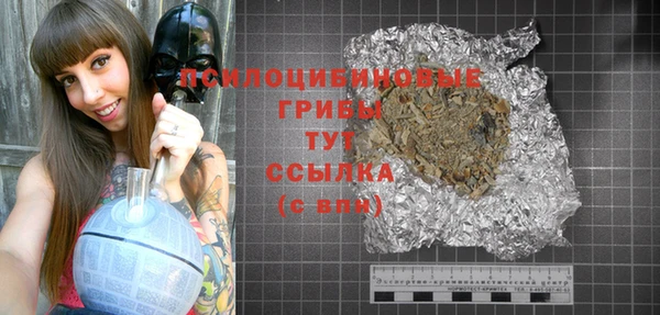 метадон Арсеньев