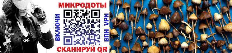 сколько стоит  это официальный сайт  Галлюциногенные грибы Psilocybine cubensis  Гурьевск 
